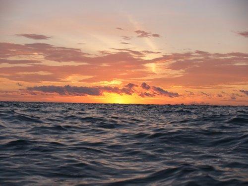 carousel-hero-element image-0