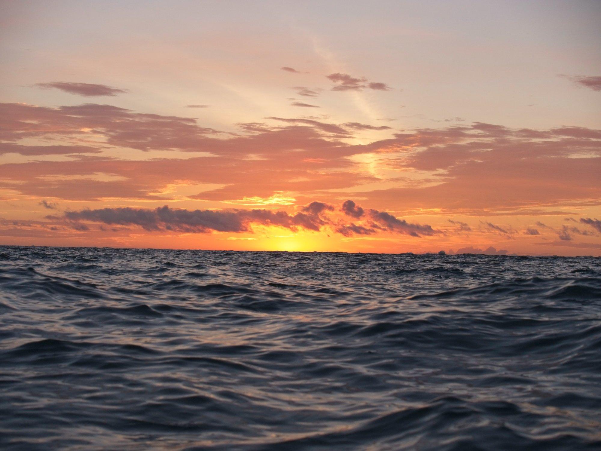 carousel-hero-element image-0