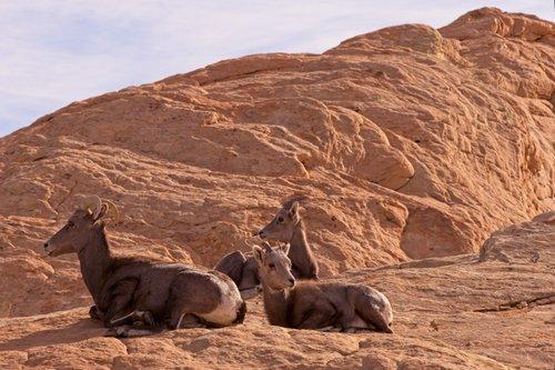 carousel-hero-element image-1